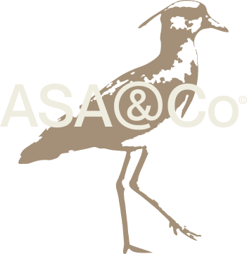 ASA & Co
